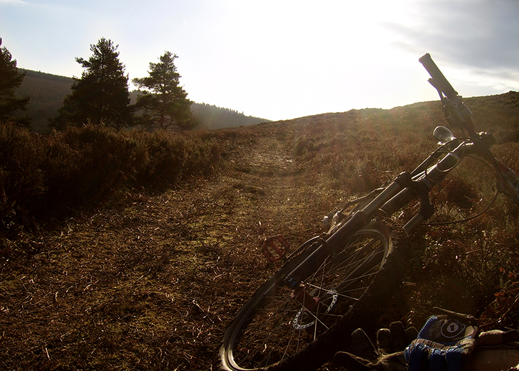 guided mountain biking day on the North York Moors