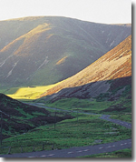 D & G Landscape