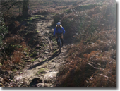 Yorkshire Moors bridleway