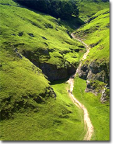 Cavedale Downhill