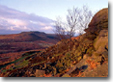 Peaks