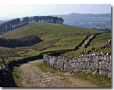 Yorkshire Dales bridleway