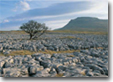 Yorkshire Dales