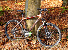 Calfee bamboo framed mountain bike
